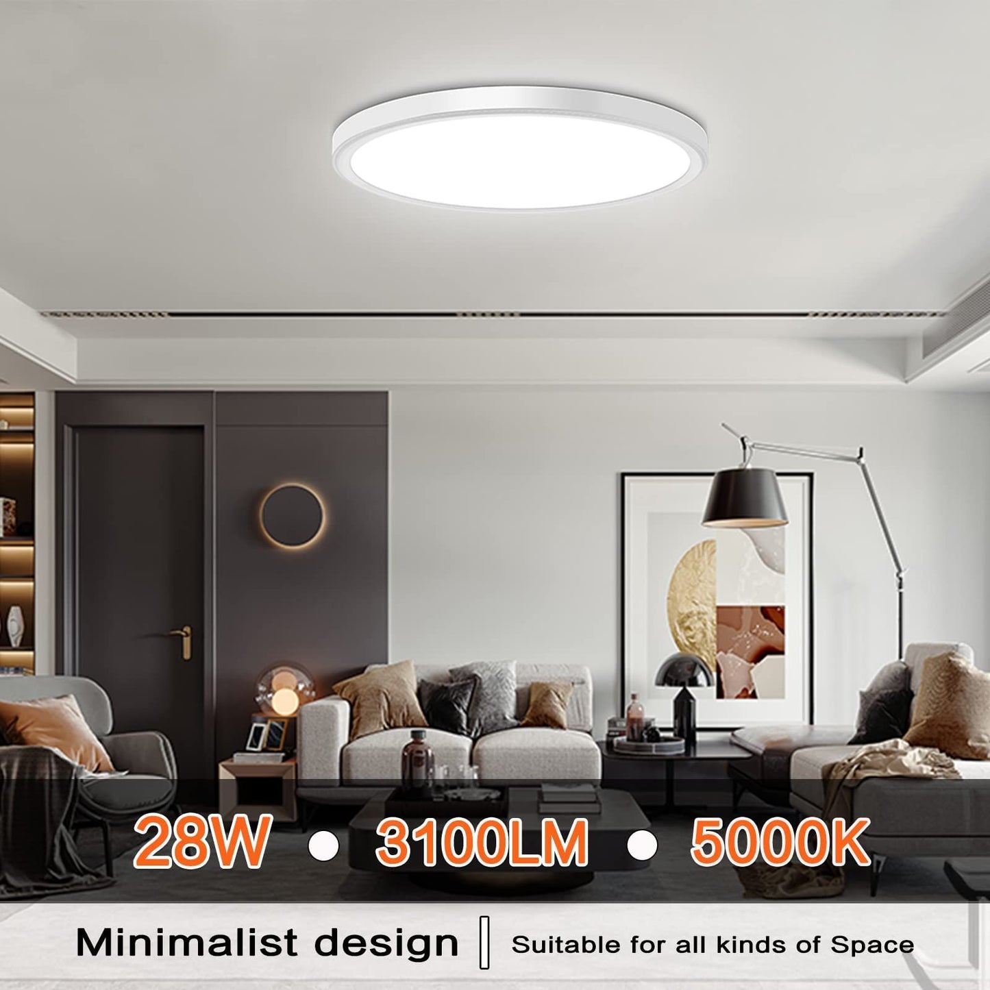 Slim Flush Mount Ceiling Light