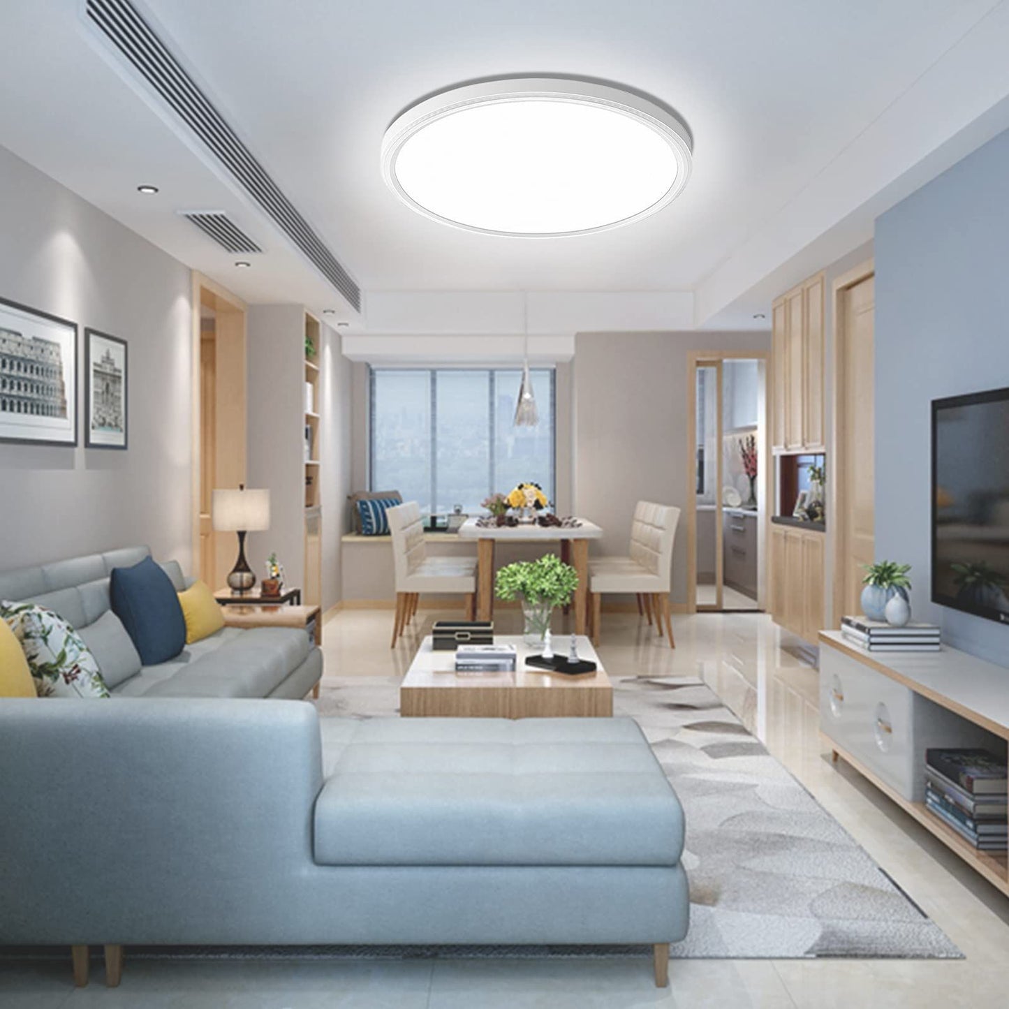 Slim Flush Mount Ceiling Light