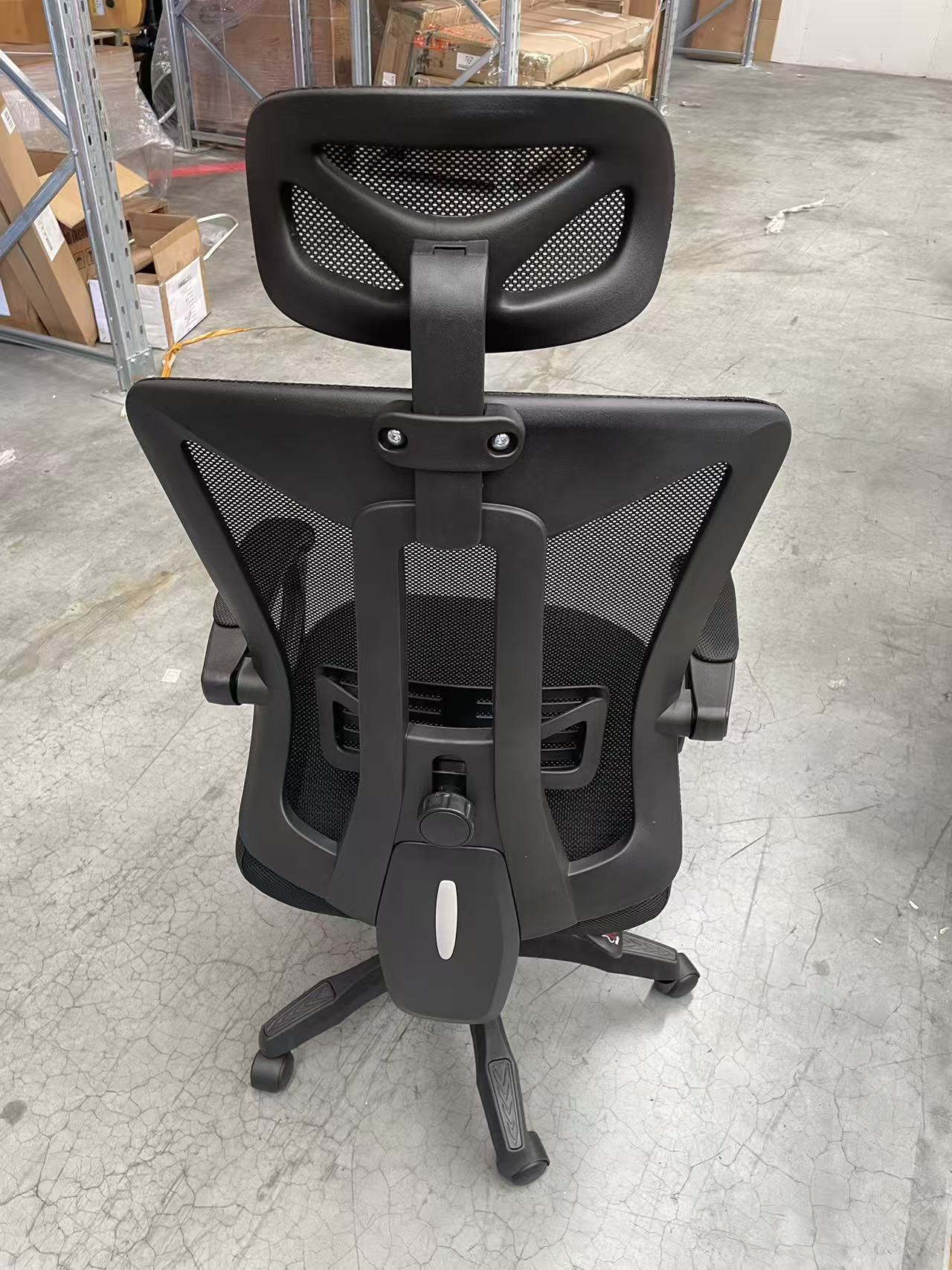 Magic Picks Ergonomic Chair — back view showing headrest and lumbar support